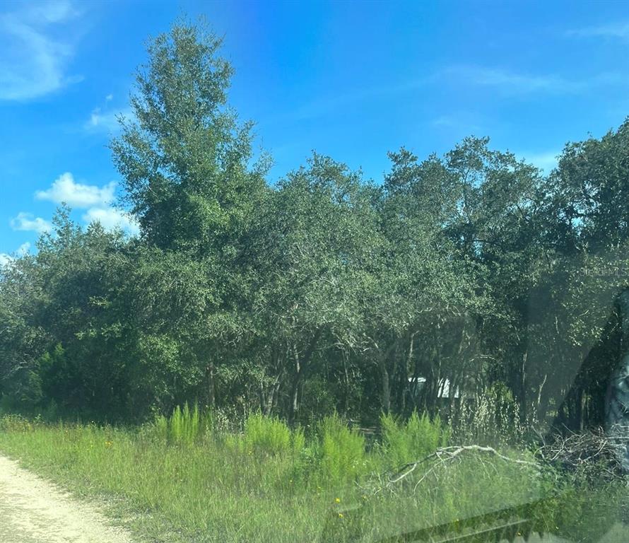 8 23-12-17 Oak Ridge Estates Williston, FL 32696 - Photo 2 of 3