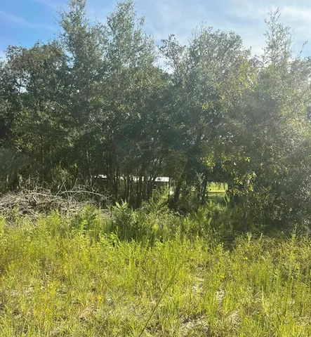 $10,000 | 8 23-12-17 Oak Ridge Estates, Williston, FL 32696