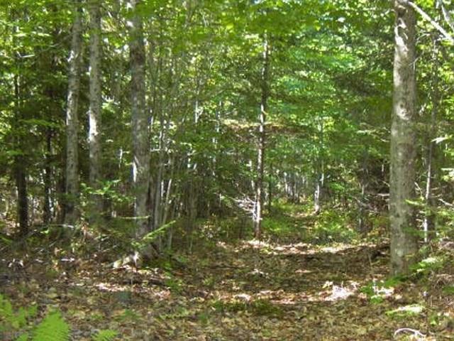 Lot 10 Ladd Road Oakland, ME 04963 - Photo 1 of 3 Wooded & Wildlife Galore