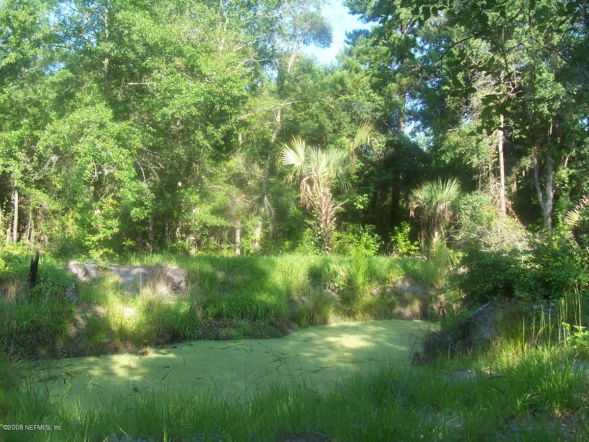 158 Sumter Road Satsuma, FL 32189 - Photo 5 of 7 Pond