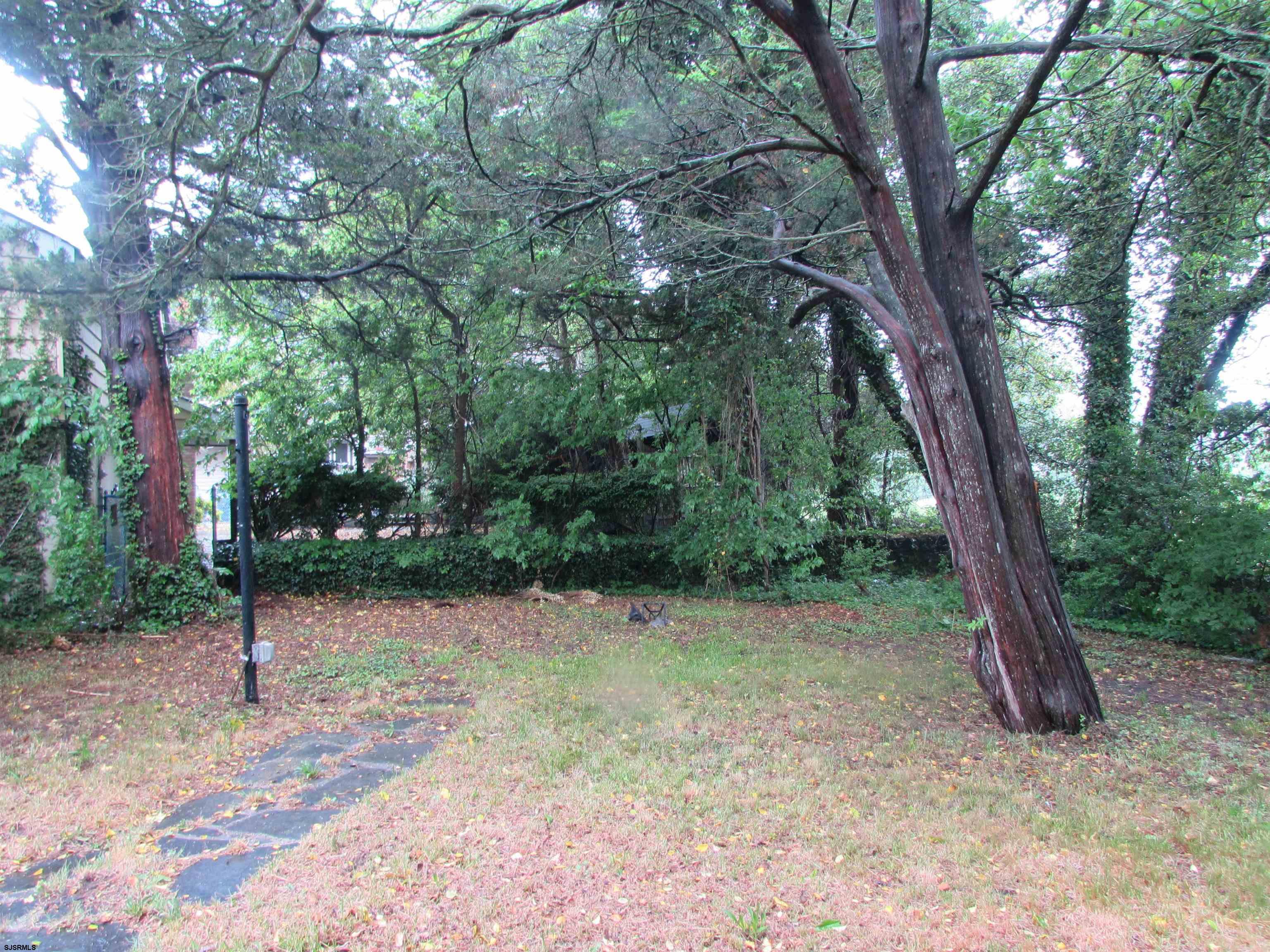 744 Shore Road Linwood, NJ 08221 - Photo 8 of 43 a view of a tree in a yard