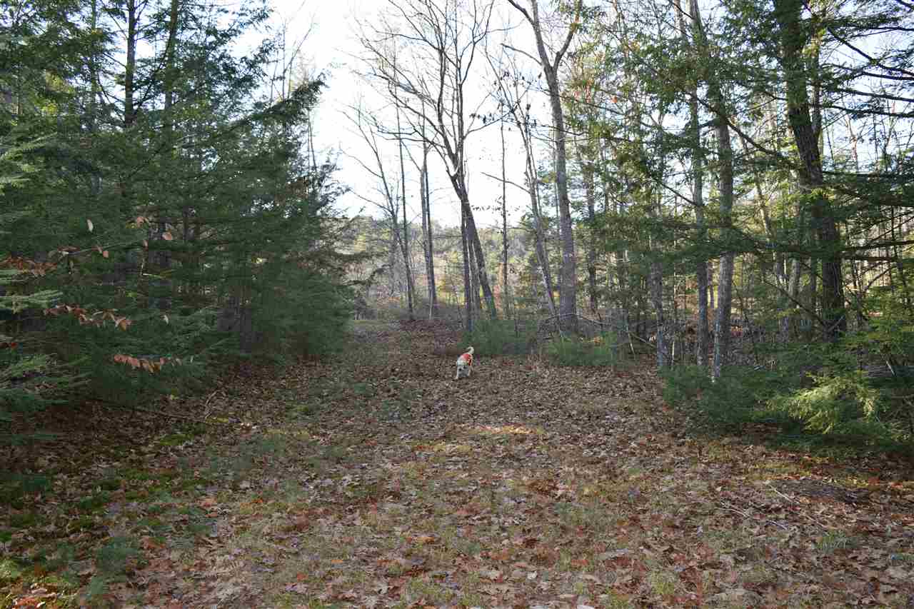 773 River Road Plymouth, NH 03264 - Photo 7 of 37