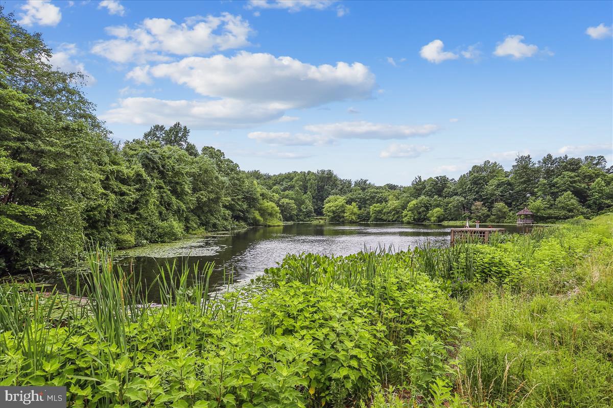 11300 Water Pointe Circle Reston, VA 20194 - Photo 12 of 41