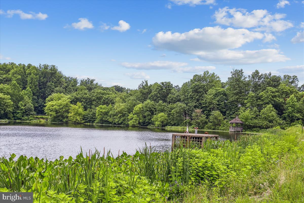 11300 Water Pointe Circle Reston, VA 20194 - Photo 13 of 41 Water Pointe's Butler Pond and Gazebo