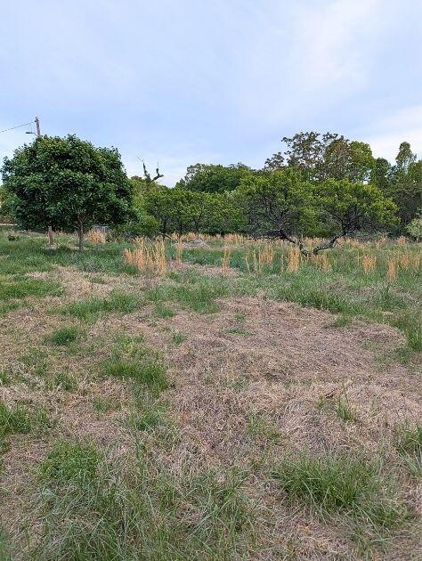 601 Farmers Mountain Road Gretna, VA 24557 - Photo 19 of 20 a view of a field of grass and trees