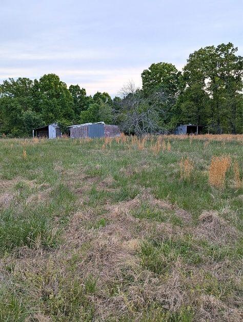 601 Farmers Mountain Road Gretna, VA 24557 - Photo 20 of 20 a view of a lush green forest