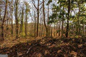 a view of backyard with wooden fence