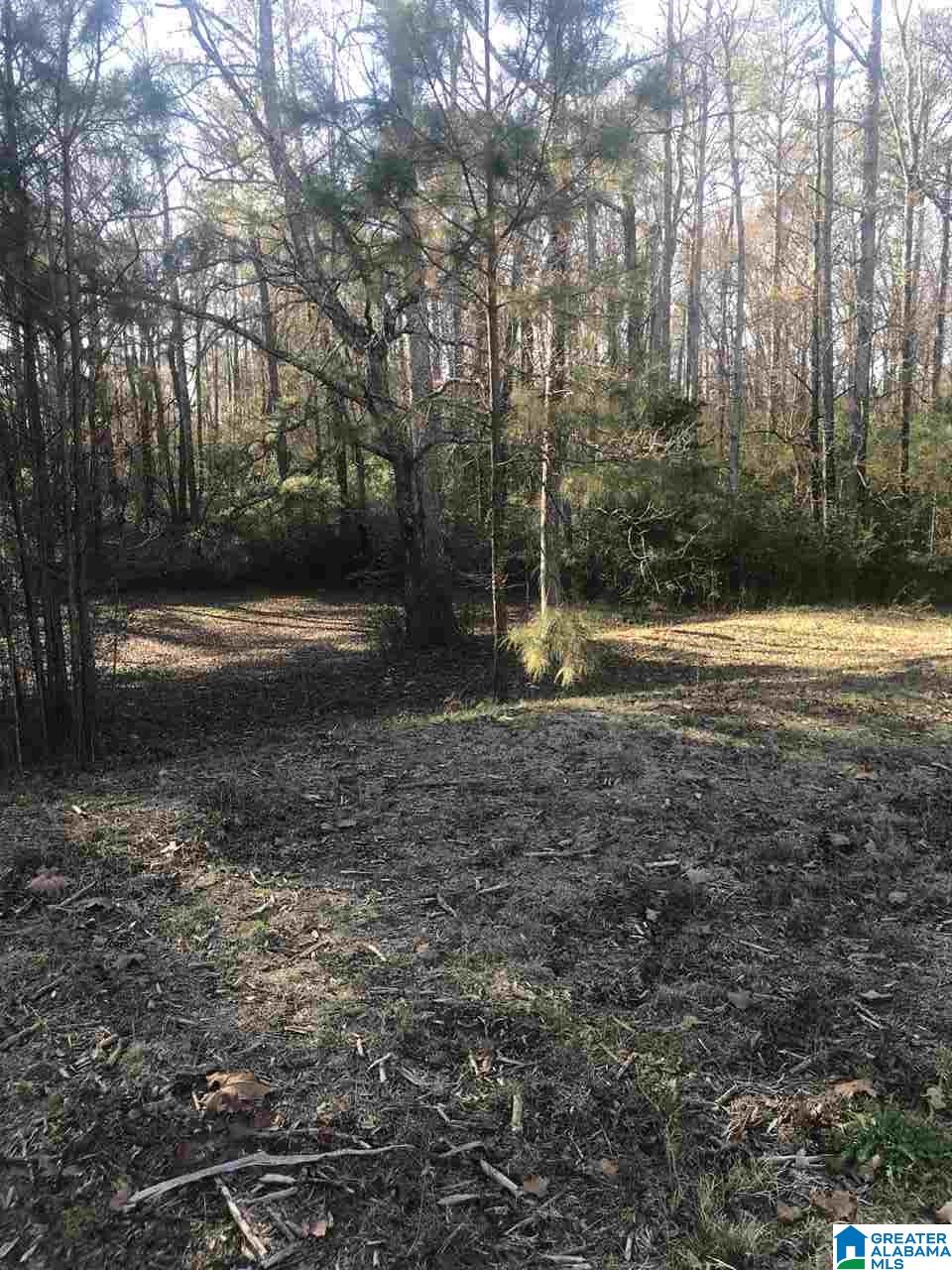 8128 Highway 75, Unit 2 Pinson, AL 35126 - Photo 5 of 8