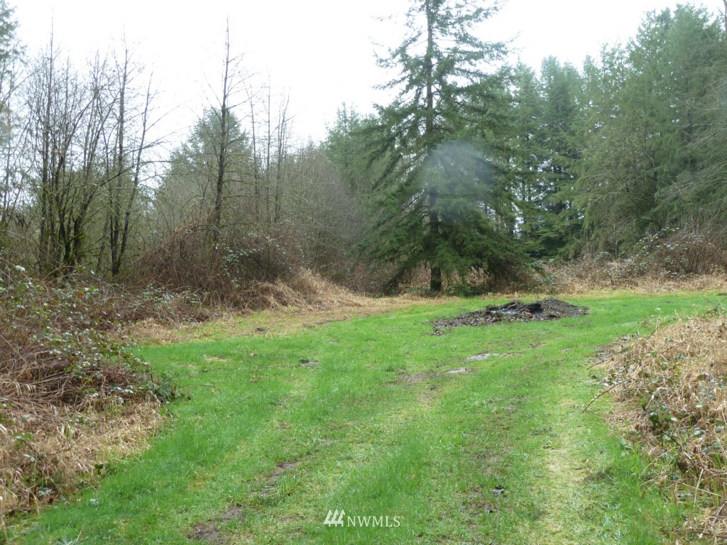 0 Roberts Road Chehalis, WA 98532 - Photo 3 of 5