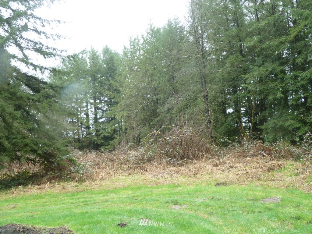 0 Roberts Road Chehalis, WA 98532 - Photo 4 of 5