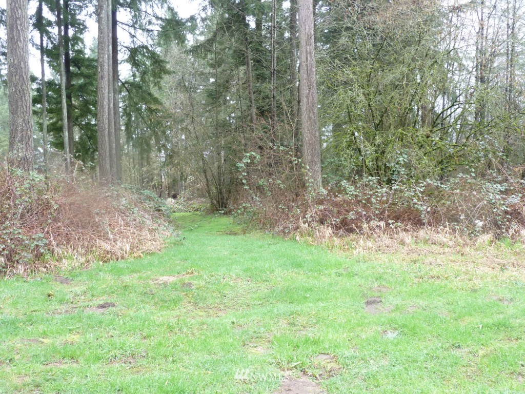 0 Roberts Road Chehalis, WA 98532 - Photo 5 of 5