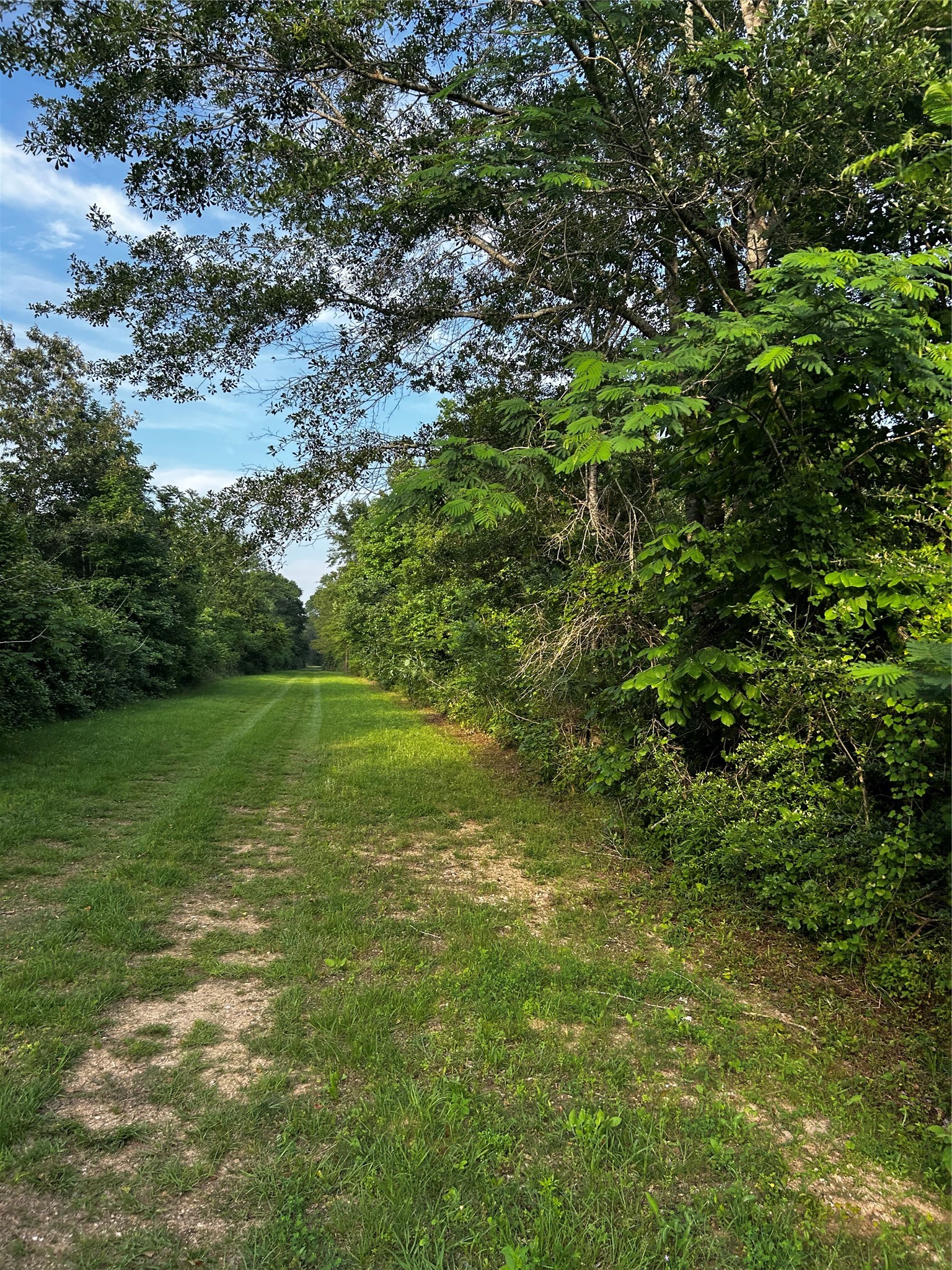 0 County Line Road Shepherd, TX 77371 - Photo 7 of 50