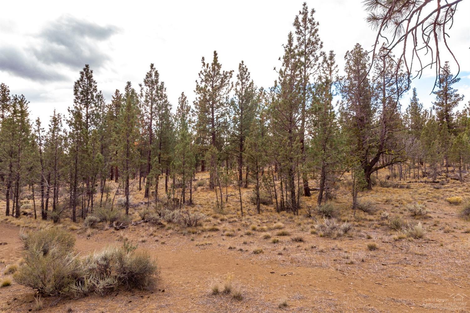 0 Peterson Ridge Road Bend, OR 97703 - Photo 4 of 17 Additional Photo