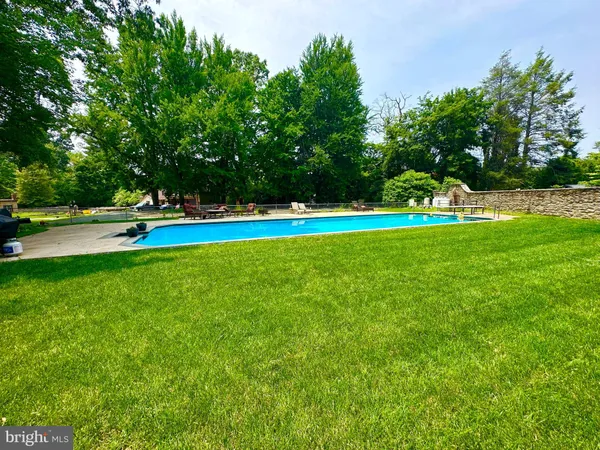 a view of a park with large trees