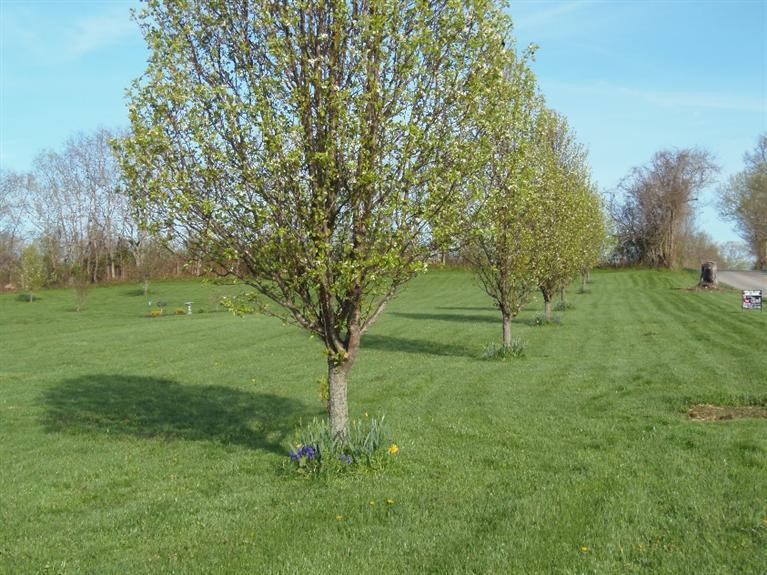 7061 Fords Mill Road Versailles, KY 40383 - Photo 37 of 37 Photo 39
