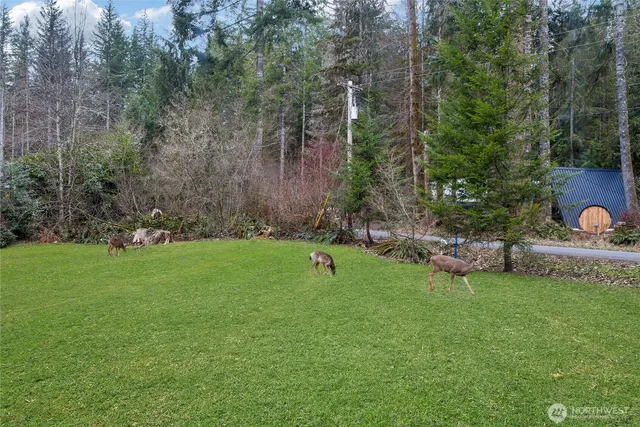 a view of a backyard with a garden and fire pit