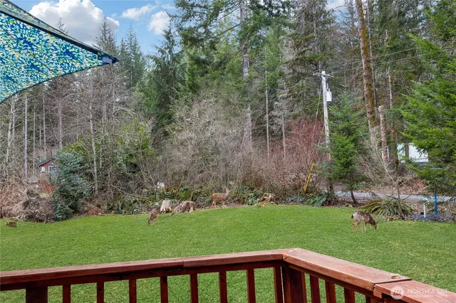 a view of a backyard with large trees