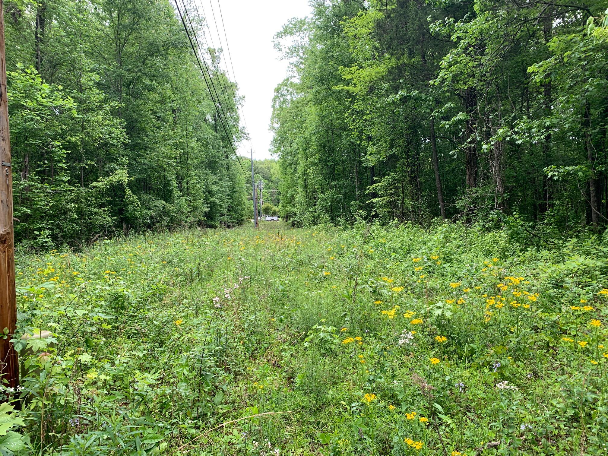 Mitchell Road Oak Ridge, TN 37830 - Photo 5 of 5 Pic_1