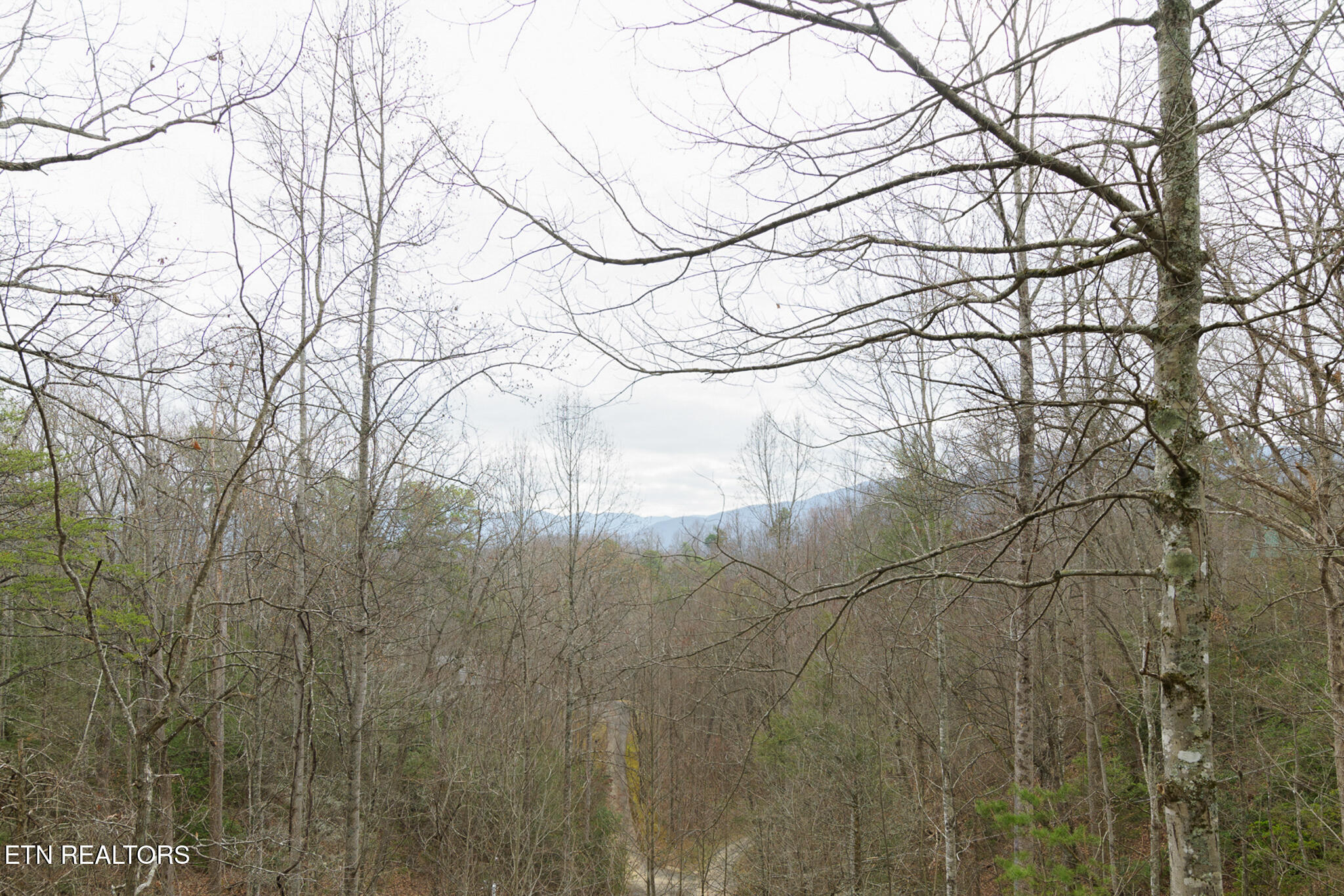 846 Maple Hill Way Gatlinburg, TN 37738 - Photo 18 of 25 4180A03C-FCFB-42D5-BF66-66731867F471