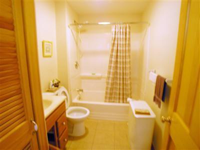 83 Uncle Rolf Road Dennis Port, MA 02639 - Photo 7 of 7 a bathroom with a tub sink and mirror