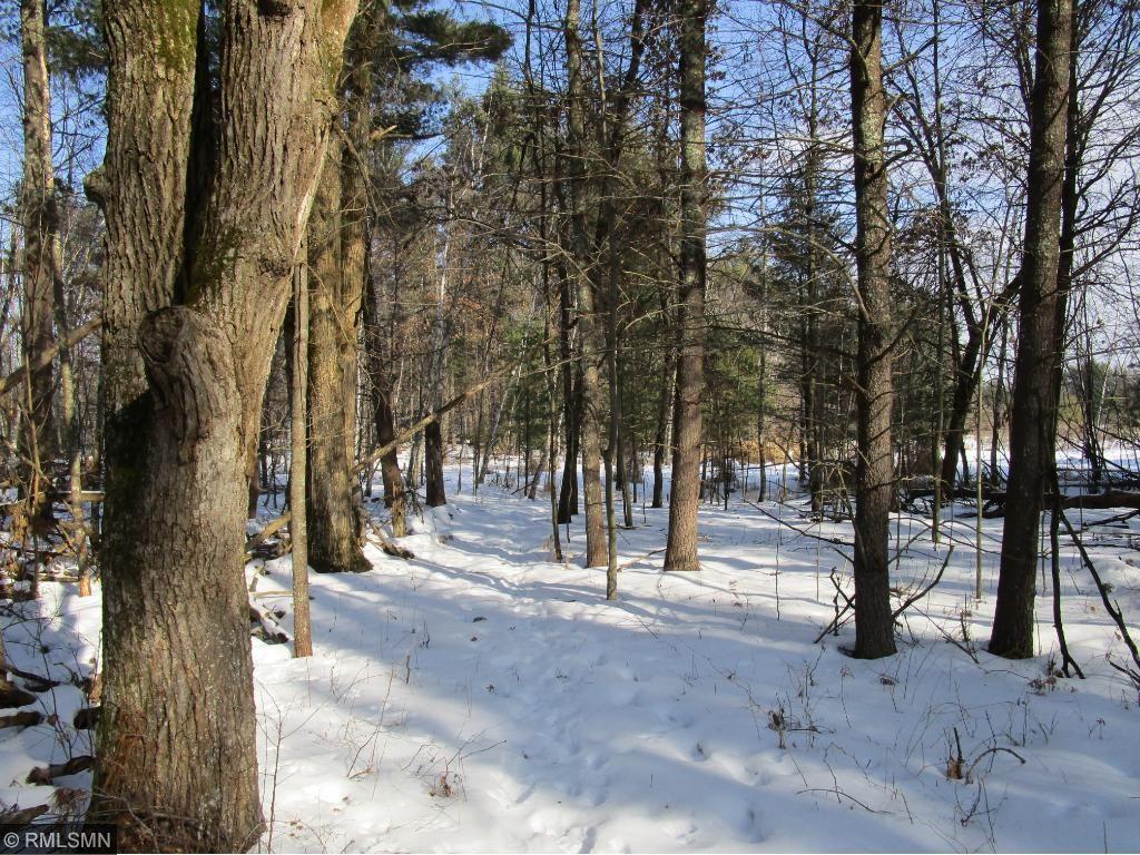 Xxx Moline Road Webster, WI 54893 - Photo 1 of 1