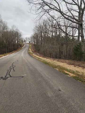 a view of swimming pool with large trees and wooden fence
