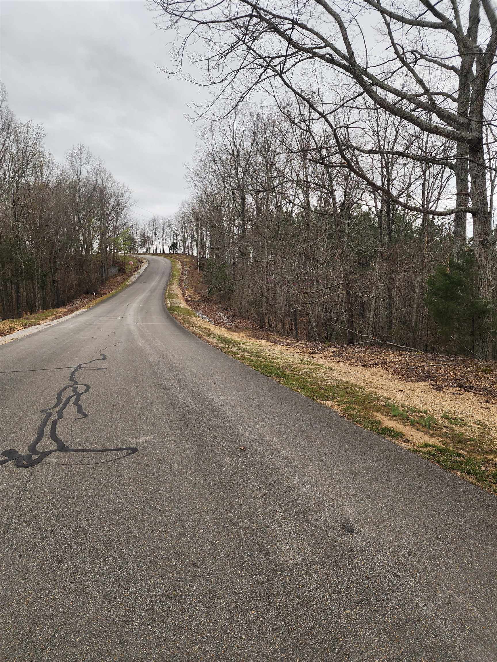 Lot #5 Eagle Point Drive Cherokee, AL 35616 - Photo 2 of 10 a view of swimming pool with large trees and wooden fence