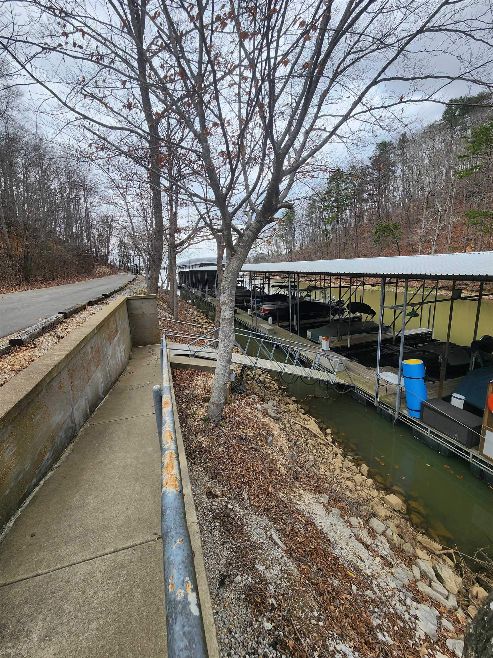 Lot #5 Eagle Point Drive Cherokee, AL 35616 - Photo 3 of 10 a view of swimming pool with trees in the background