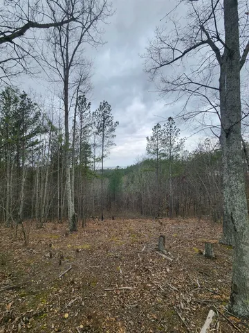 a view of a lake with a mountain and trees