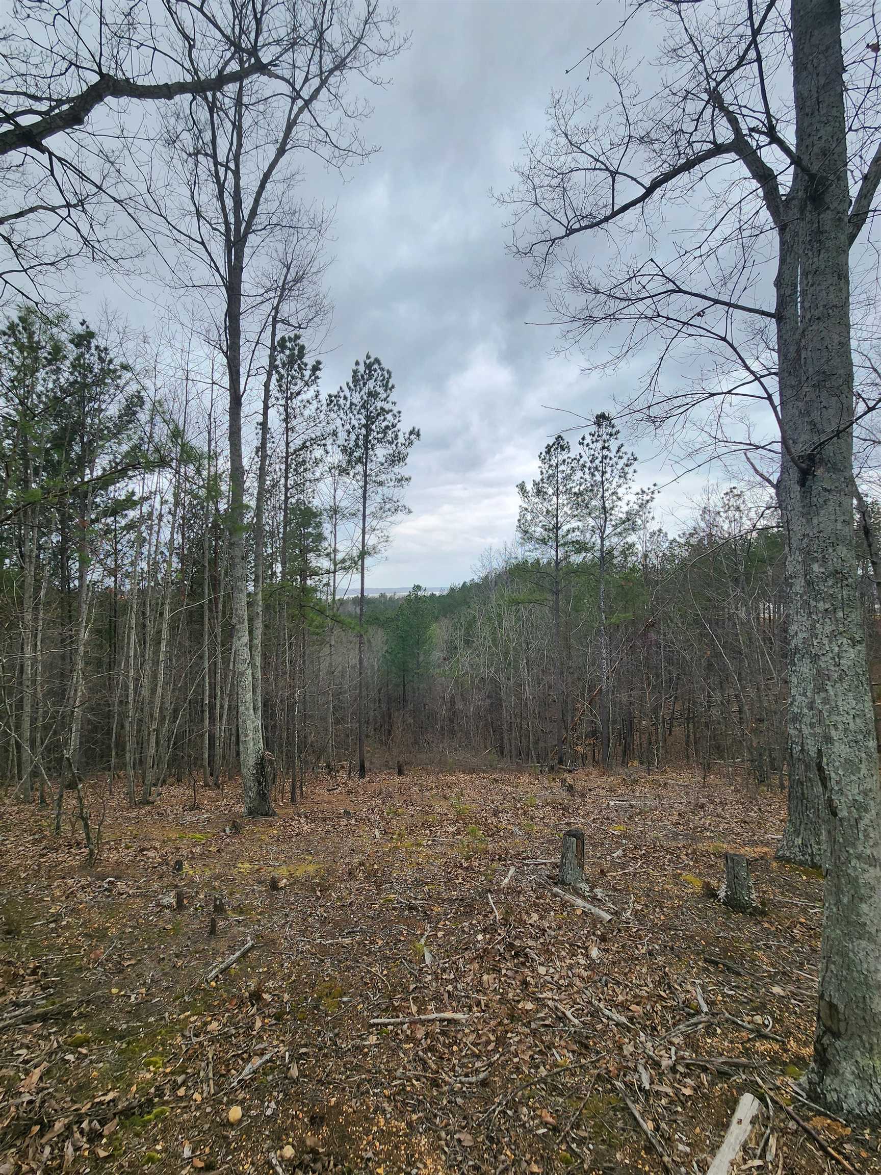 Lot #5 Eagle Point Drive Cherokee, AL 35616 - Photo 4 of 10 a view of a lake with a mountain and trees