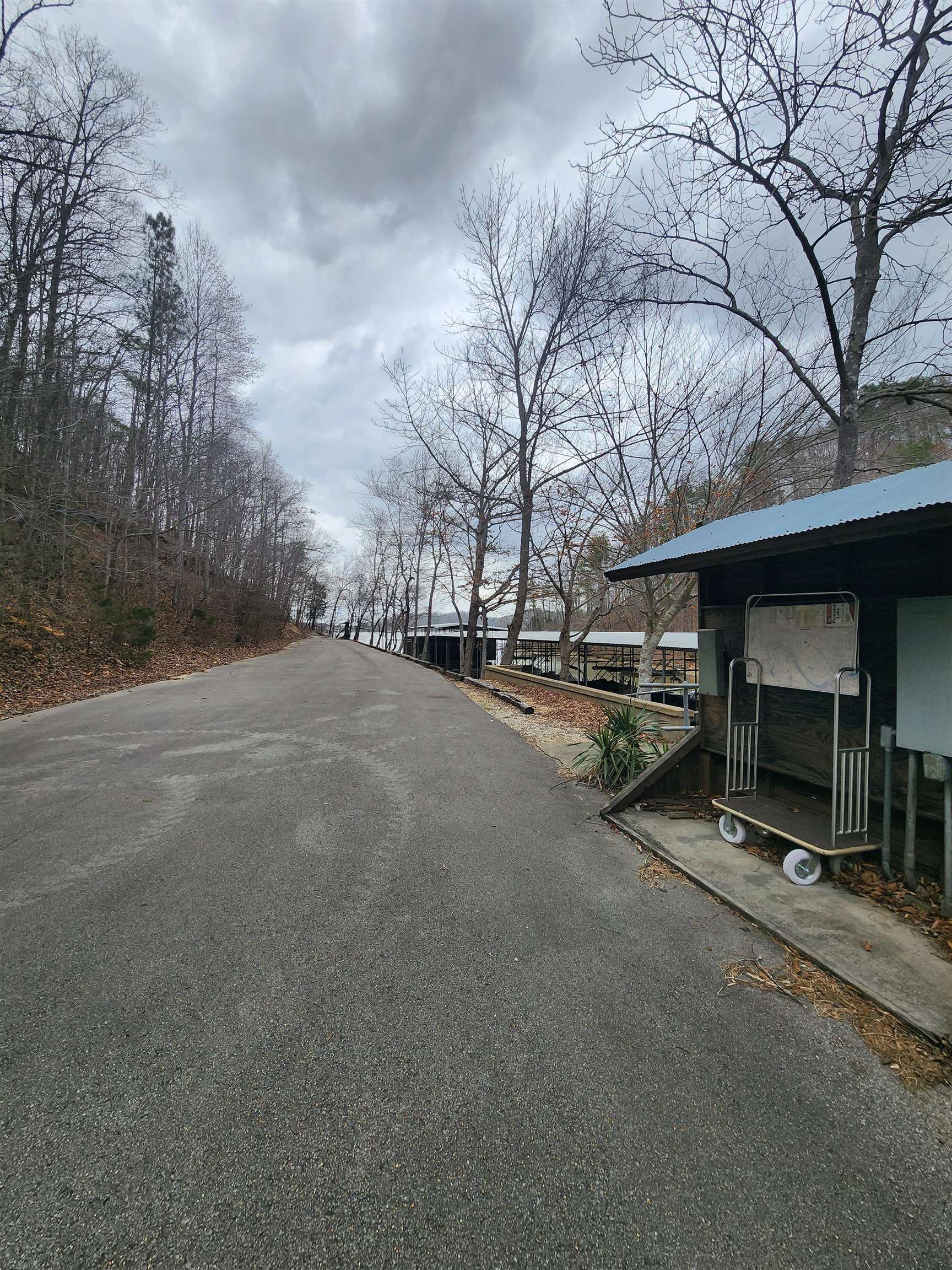 Lot #5 Eagle Point Drive Cherokee, AL 35616 - Photo 5 of 10 a view of outdoor space and yard