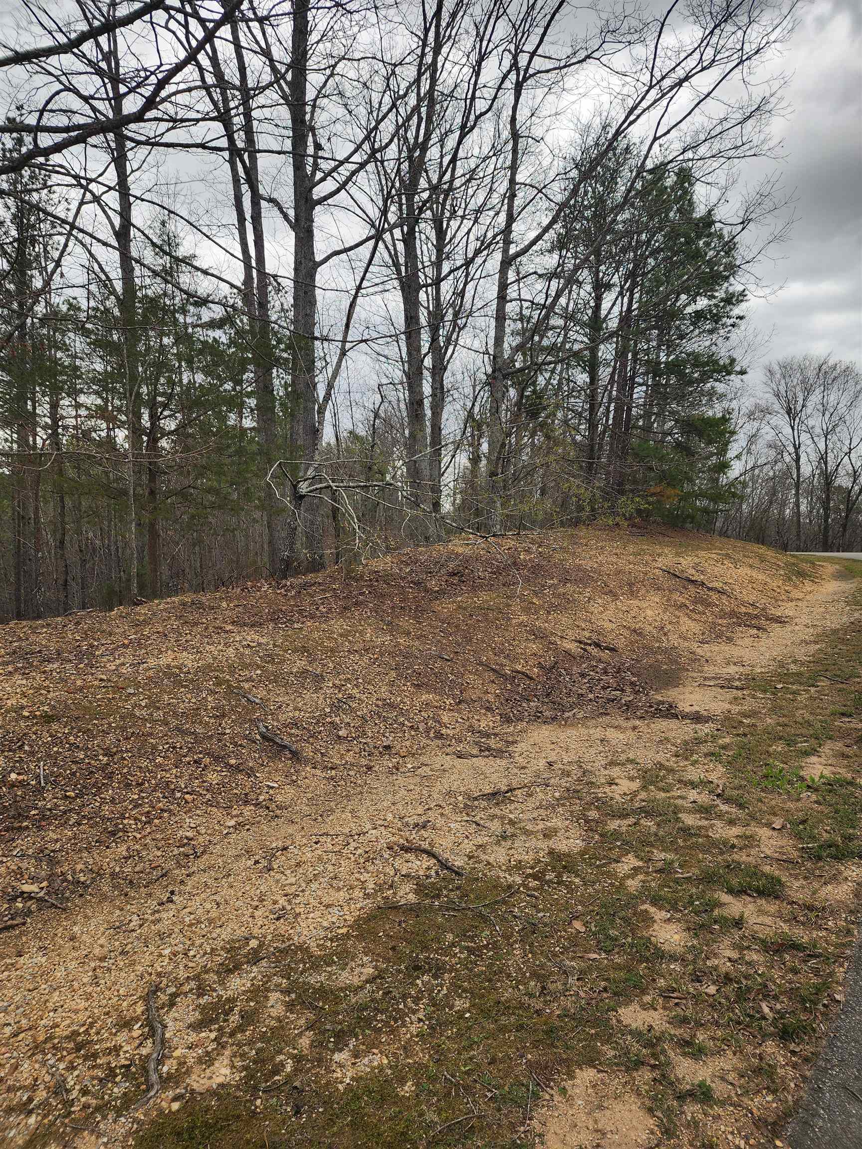 Lot #5 Eagle Point Drive Cherokee, AL 35616 - Photo 7 of 10 a backyard of a house with lots of green space