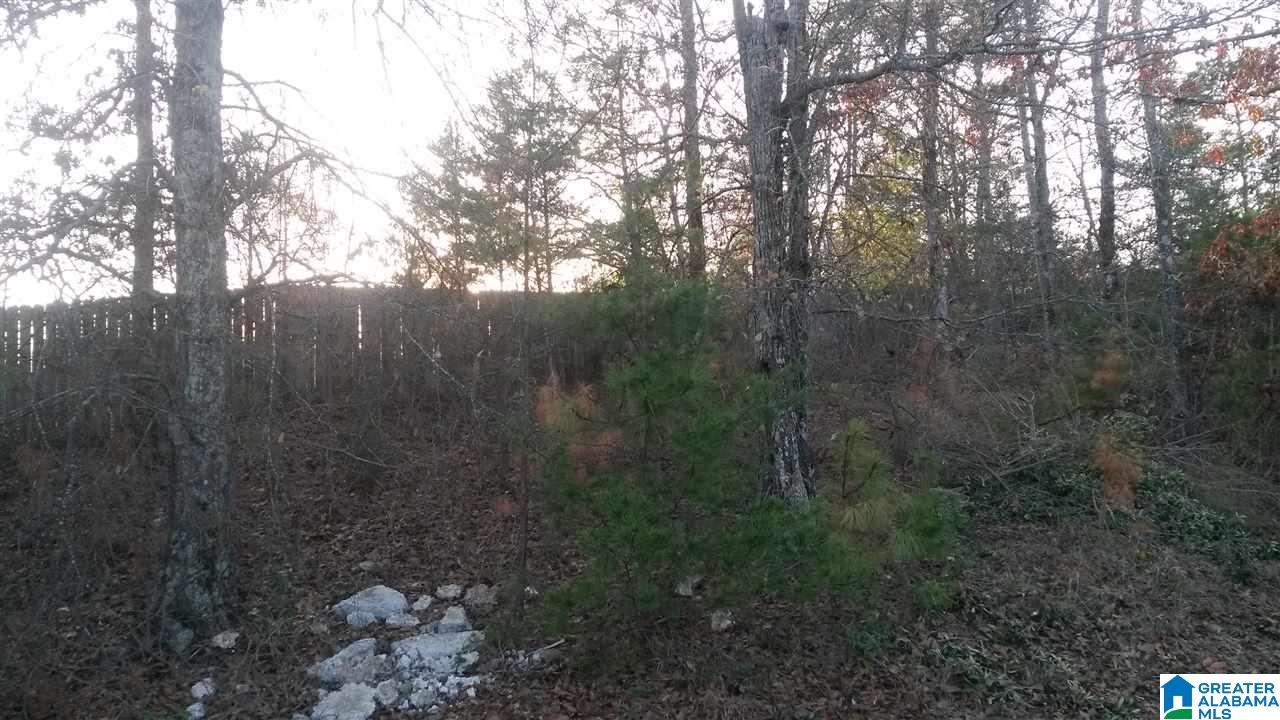 195 Flagstone Lane Calera, AL 35040 - Photo 25 of 25