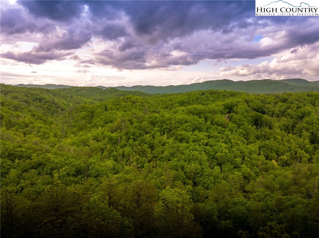 289 Ninebark Road Boone, NC 28607 - Photo 7 of 40