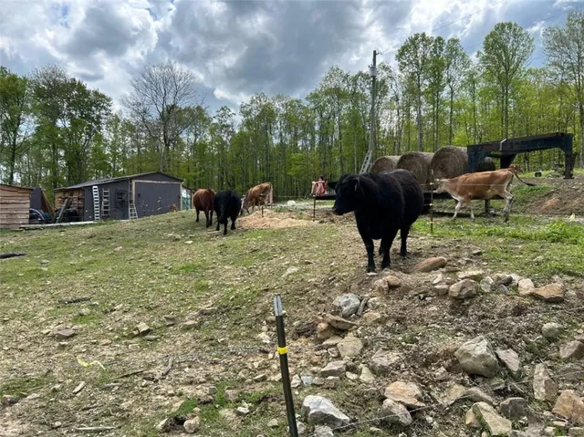 $120,000 | 135 Sandy Flat Road, Connellsville, PA 15425