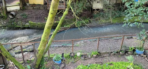 a view of a backyard