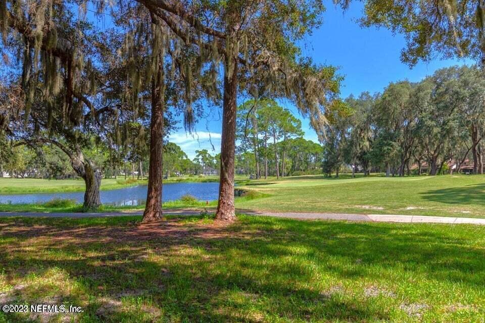 4309 Monument Road Jacksonville, FL 32225 - Photo 17 of 65 a view of a park with large trees