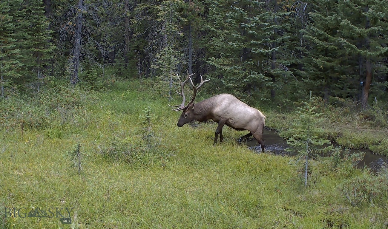 Nhn Jack Creek Road Basin, MT 59631 - Photo 1 of 1 Gallery Image 1