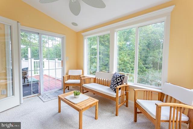 17314 King Philip Way Lewes, DE 19958 - Photo 17 of 34 a living room with furniture and a window