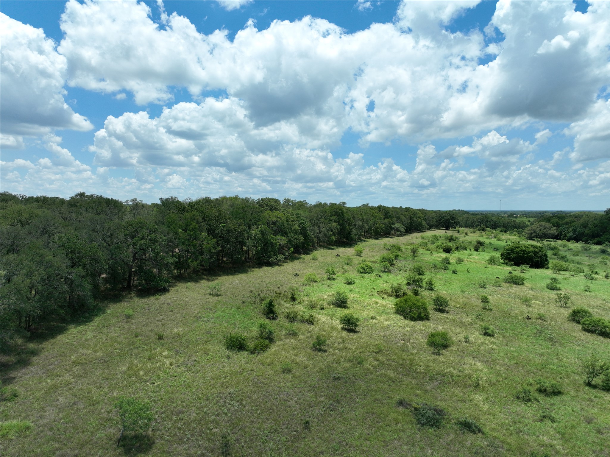 Tbd Lot 4 Tbd Road Dale, TX 78616 - Photo 14 of 24 View of undeveloped land