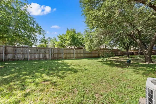 a view of a yard with a large tree