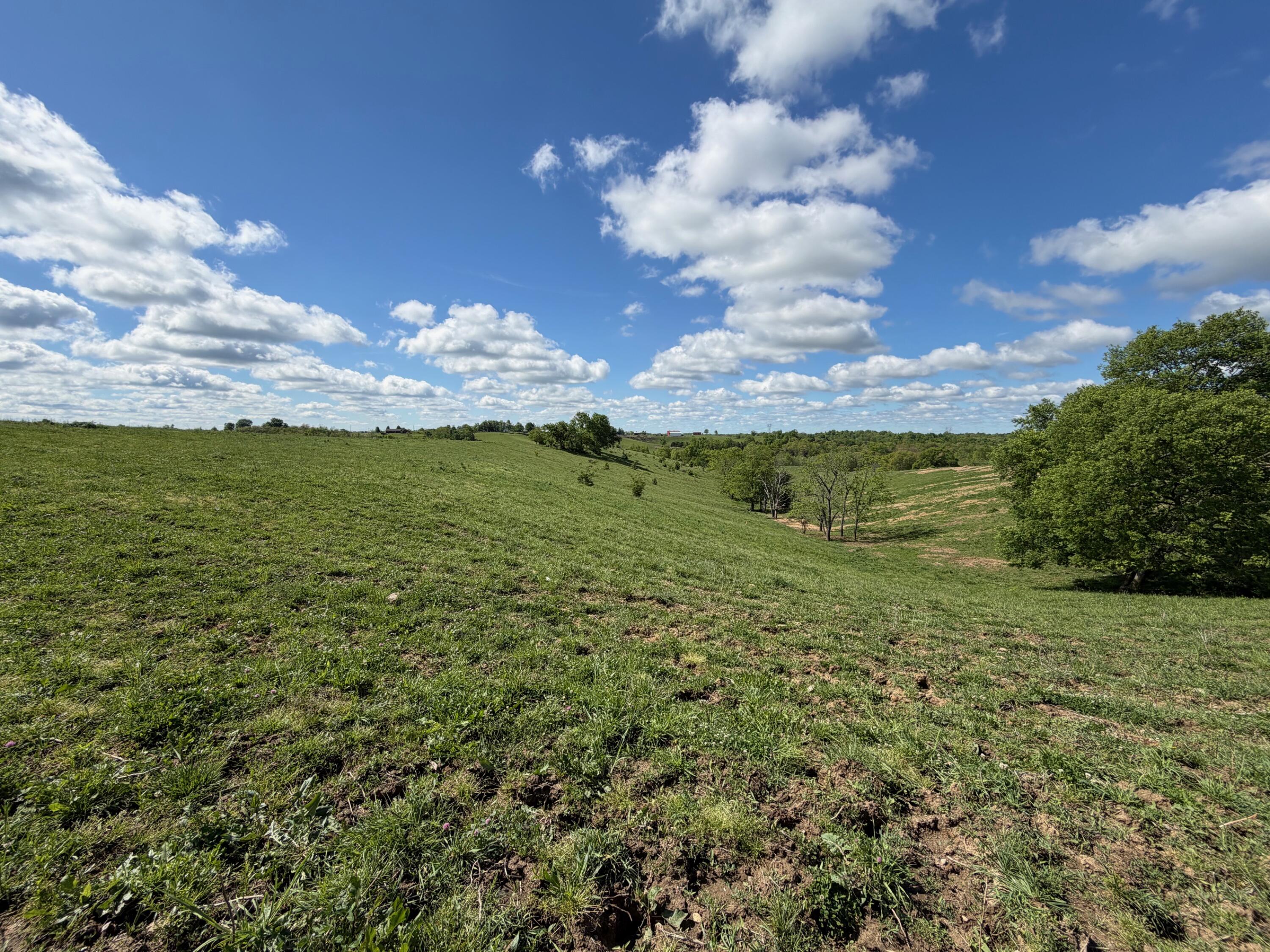 24.81-ac Chipman Ridge Road Williamstown, KY 41097 - Photo 6 of 17