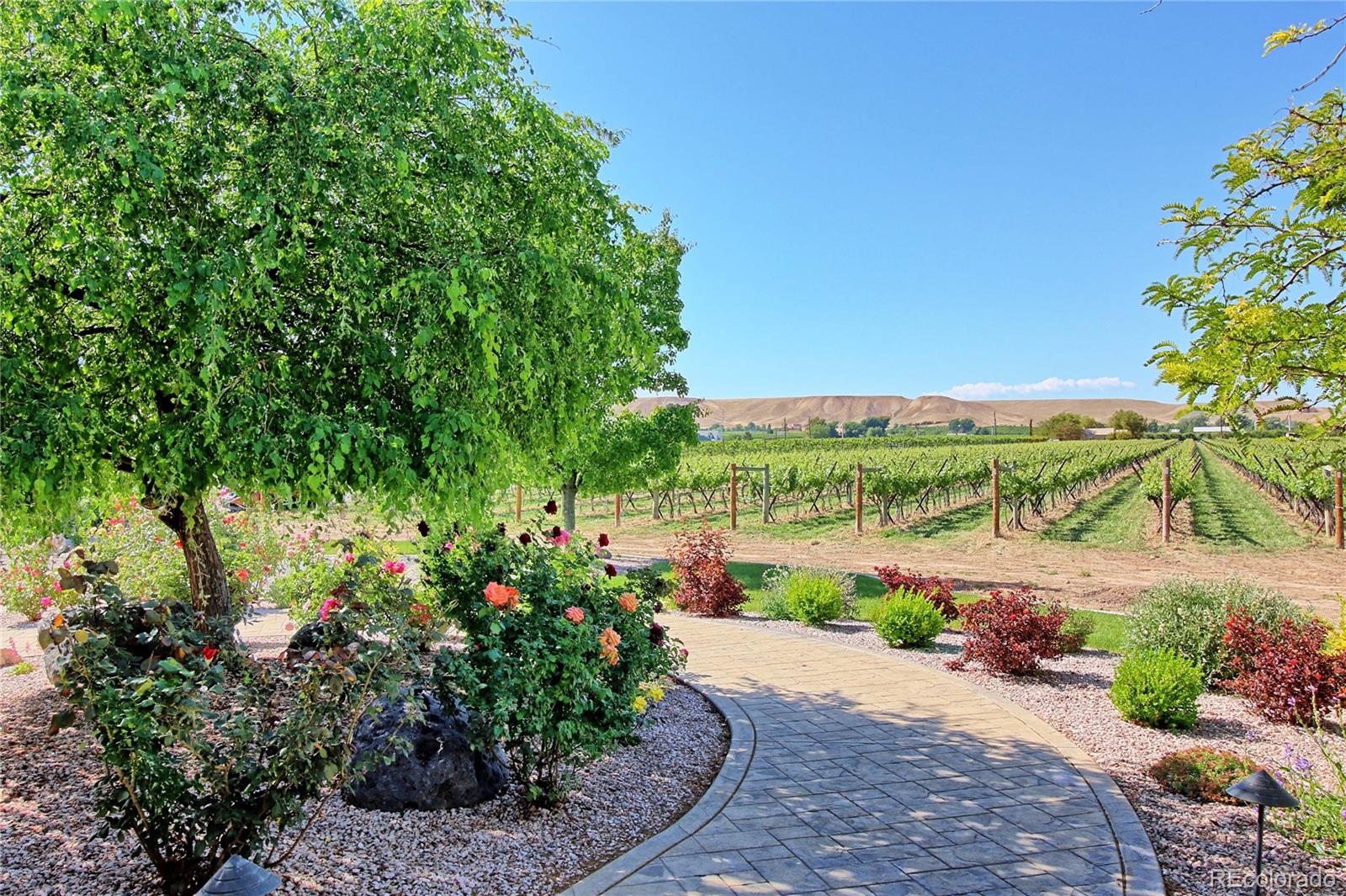 3626 F Road Palisade, CO 81526 - Photo 30 of 35