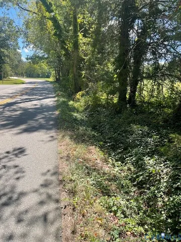 a view of a yard with plants and large trees