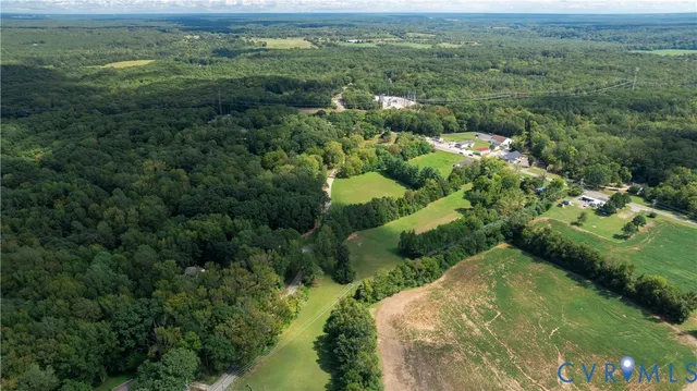 a view of a garden with trees