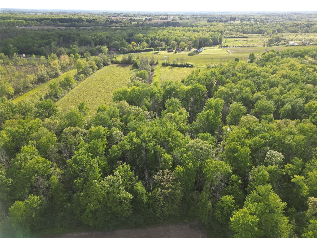 6794 Fosterville Road Aurelius, NY 13021 - Photo 43 of 45