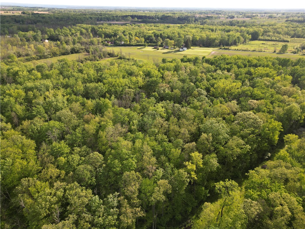 6794 Fosterville Road Aurelius, NY 13021 - Photo 9 of 45