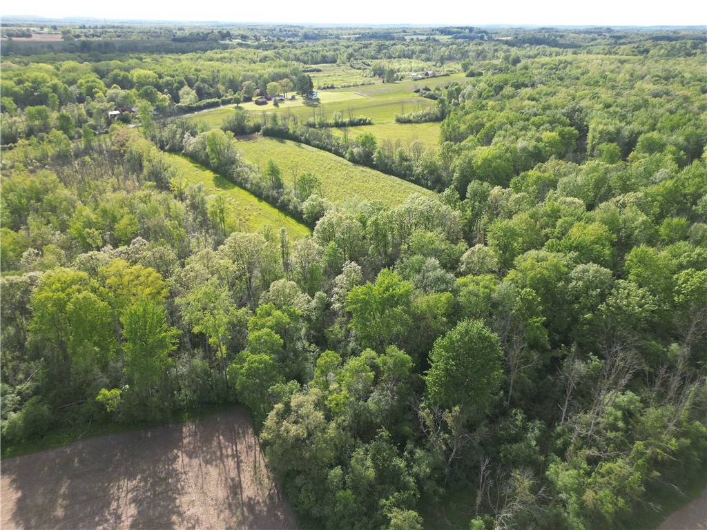 6794 Fosterville Road Aurelius, NY 13021 - Photo 10 of 45