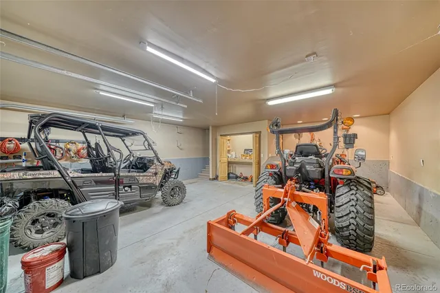 a view of a forest with large trees