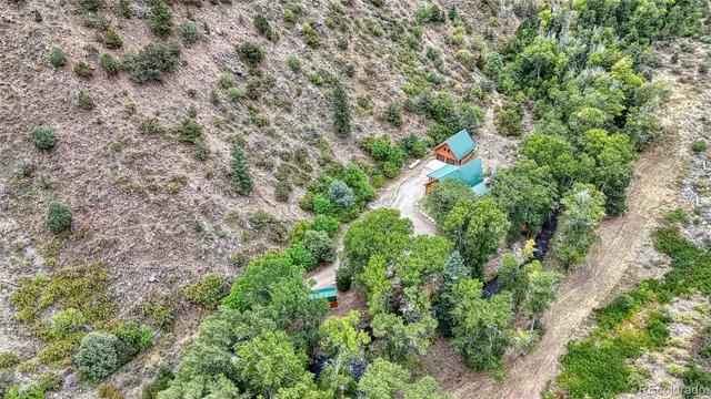 a view of a forest with trees